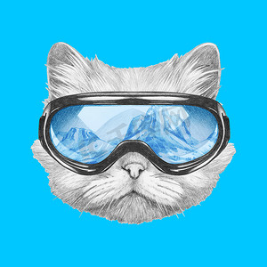 波斯猫与滑雪护目镜