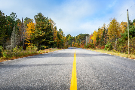 林间小路摄影照片_秋天阳光灿烂的日子,清澈的林间小路.美丽的秋天色彩。加拿大安大略省.