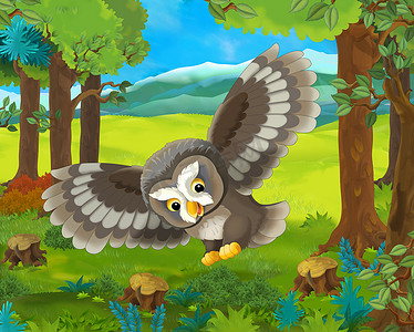 卡通场景摄影照片_与快乐飞行猫头鹰 — — 在森林-插图儿童卡通场景