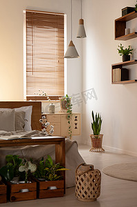 灯笼和植物在黑暗的卧室内部与床旁边的灯和窗帘在窗口。真实照片