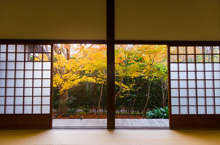 传统的日本纸滑动门和榻榻米垫打开美丽多彩的秋天叶子枫树在花园, 冬季从京都, 日本