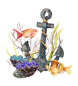 水彩的热带海卡。手绘热带鱼、 古锚、 海葵、 海藻、 珊瑚孤立在白色背景上。水下插图设计、 织物或打印.