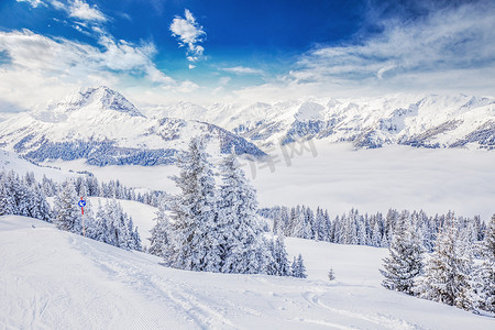 电缆车摄影照片_树木被在 Tyrolian 阿尔卑斯山的新鲜雪覆盖