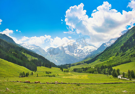 奥地利阿尔卑斯山摄影照片_在奥地利阿尔卑斯山的美丽的自然景观.