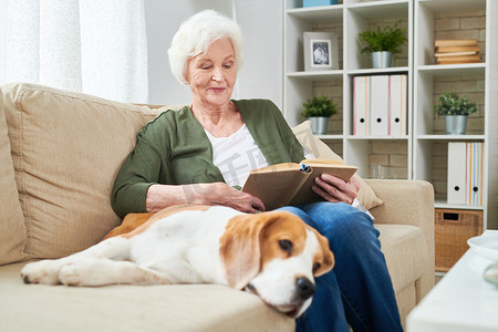 优雅的资深女性阅读书坐在沙发上, 享受周末与她身边的宠物狗在现代公寓内部的肖像