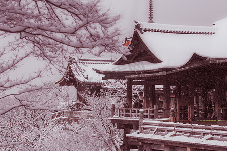 美丽的冬季清水-研究寺周围的树木覆盖着白色的雪背景在京都, 日本的复古风格的图片.