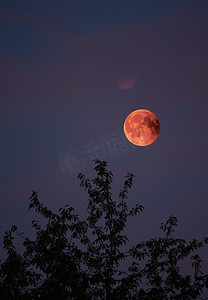 全月蚀 bloodmoon 于2018年7月28日在德国的看法