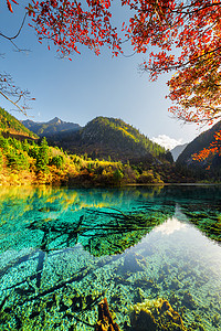 五花湖五花湖的景观在五颜六色的秋天树林中