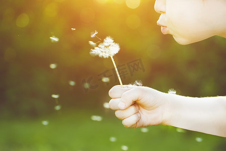 Close-up portrait of child blowing white dandelion. Background t