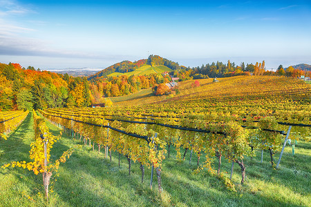 在加姆利茨附近的南施蒂里亚，迷人的葡萄园景观。秋天的景色,葡萄丘陵中流行的旅游目的地埃克伯格.地址：Gamlitz, district of Leibnitz in Styria, Austria.欧洲.