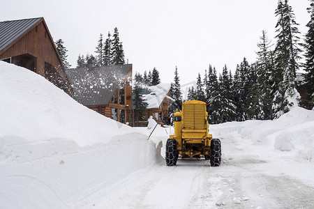 小木屋山路与黄雪脱毛机