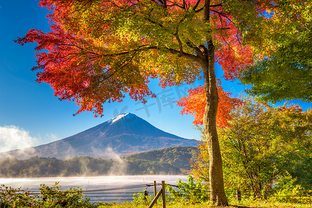 富士在秋天