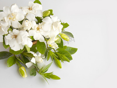 鲜花铺子摄影照片_美丽的白色栀子花鲜花花束