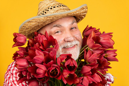 happy old retired man portrait in hat hold spring tulip flowers on yellow background.