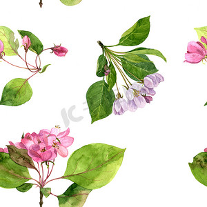seamless pattern with watercolor pink apple tree flowers