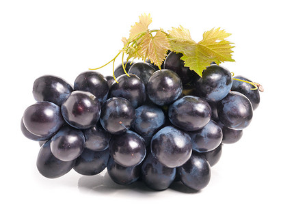 串叶孤立在白色背景上的蓝色葡萄