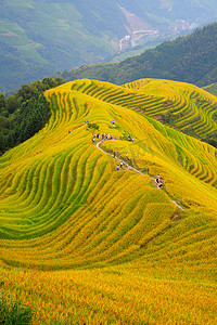 龙脊梯田