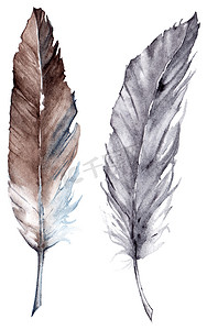 矢量水彩摄影照片_水彩的灰色的灰色的棕色的羽毛矢量集孤立