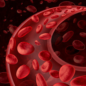 血液细胞循环