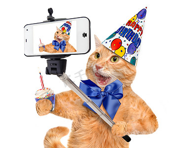 采取与智能手机的拍照的生日猫.