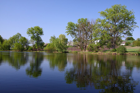 树木镜子的湖