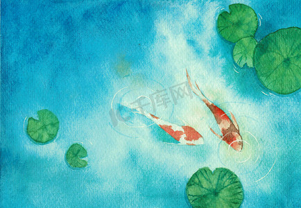 水彩画手绘，两只乌贼鱼在池塘里，象征好运与繁荣.