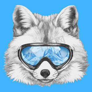 肖像的狐狸与滑雪护目镜
