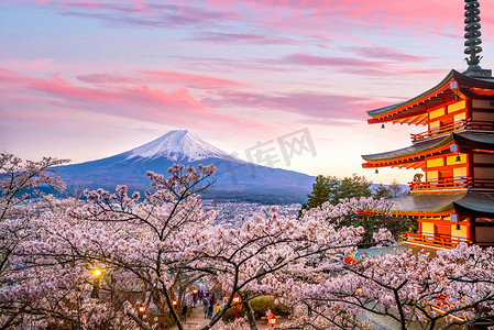 富士山和楚里托红塔，日落时开满樱花