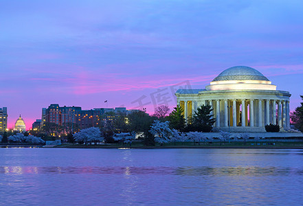 Thomas Jefferson 纪念堂和我们议会大厦黎明樱花节期间. 