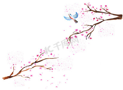 春天手绘樱花摄影照片_水彩樱花分枝