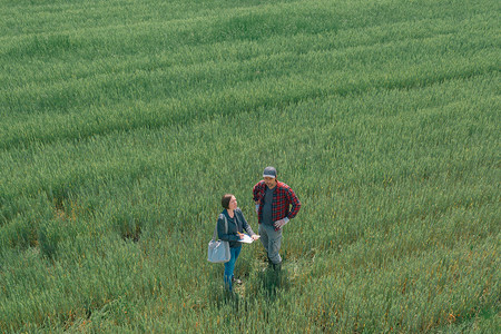 银行和农民在绿小麦田里议付农业贷款，从无人地带鸟瞰