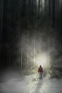 孤身一人在阴郁的森林里，被浓雾笼罩