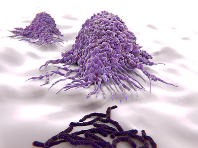巨噬细胞接近细菌 (杆菌), 3d 渲染。插图