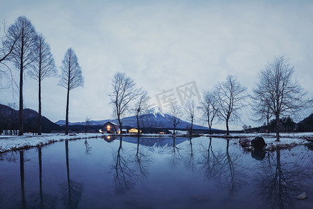 富士山，冬季有干枯的树木和积雪在Fumotoppara营地，靠近山崎富士川口。五个湖，日本。自然景观背景