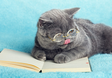 业务猫读书笔记本