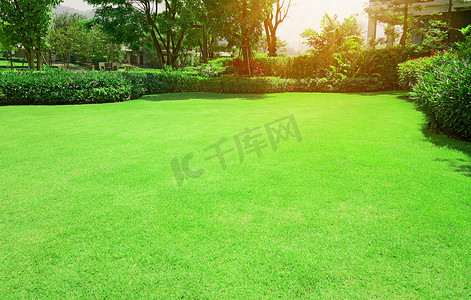  新鲜绿色的巴穆达草光滑的草坪，有弯曲的灌木丛，背景上的树木在早晨的阳光下生长在房子的花园里