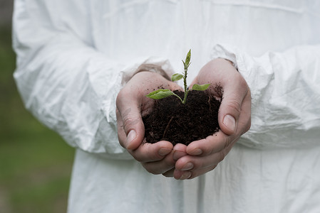 生态学家拿着少量土壤与植物的部分观点