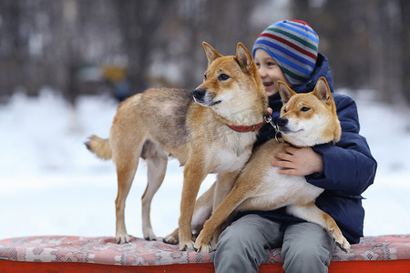 小男孩和两只狗在冬天