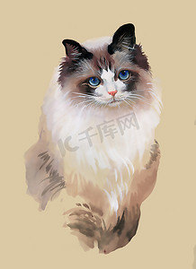 猫的水彩肖像