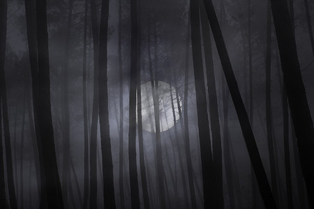 在满月的夜晚可怕的黑暗的雾森林.