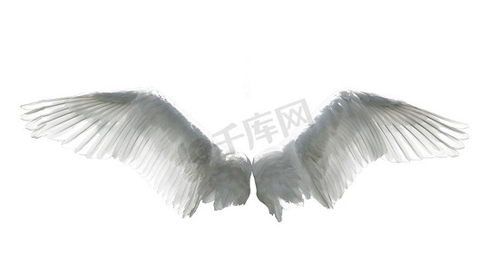 天使头箍摄影照片_白色的天使翅膀