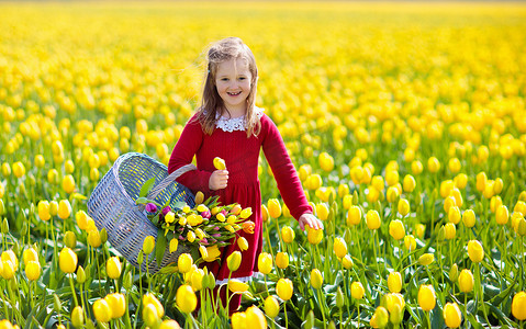 孩子在黄色郁金香花领域在荷兰