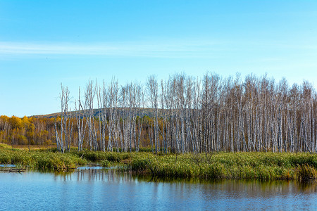 罗斯托克摄影照片_克麦罗沃地区 Salair 岭丘陵伊斯托克河的沼泽岸边