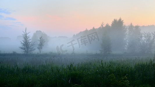 晨雾以上农村区域中的字段