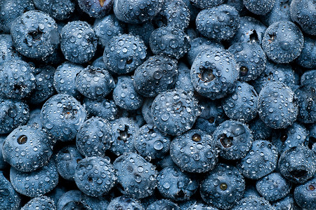 蓝莓与紫甘蓝摄影照片_湿的蓝莓背景