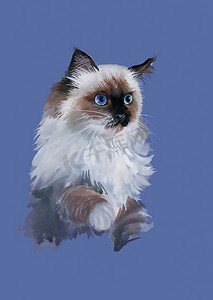 猫插画摄影照片_猫的水彩肖像