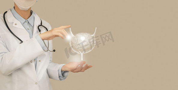 女医生手里拿着虚拟膀胱。手绘人体器官，复制右侧空间，米色。保健医院服务概念库存照片