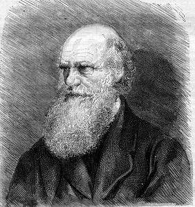 查尔斯·达尔文于1882年4月去世后，一张照片，复古