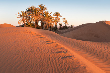 旅行探险摄影照片_在摩洛哥的Merzouga附近,沙漠景观沙丘在日落的天空,非洲. 发现和探险旅行的概念。 沙漠沙丘上的阳光.