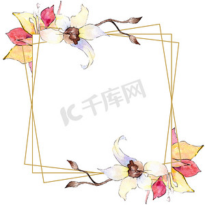 多面体几何摄影照片_黄色和白色的兰花。水彩背景插图。金色方形多边形框架与鲜花。几何多面体晶体形状.